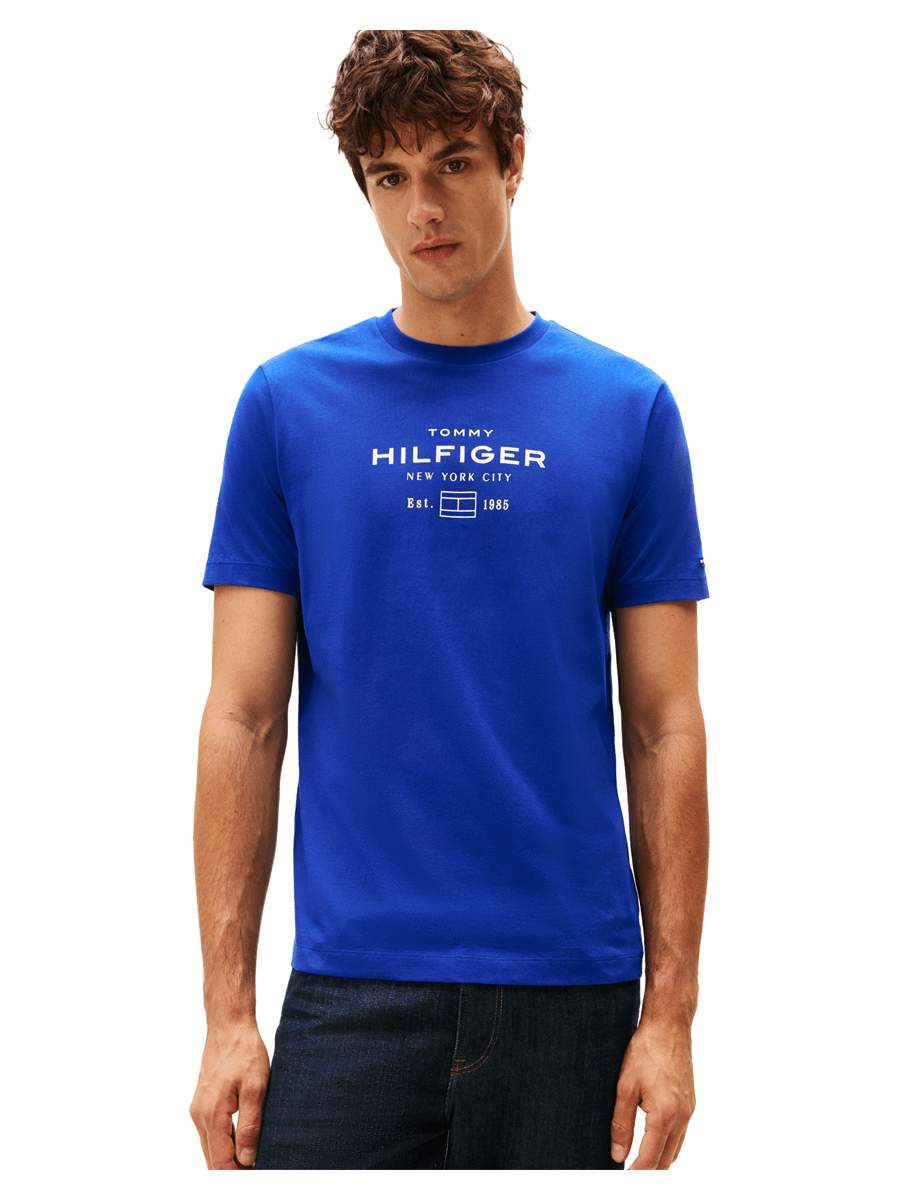 Tommy Hilfiger T-shirts / Polo mw0mw40002-d03_M - Bygholm Menswear